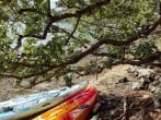 Kayaks Kayaks